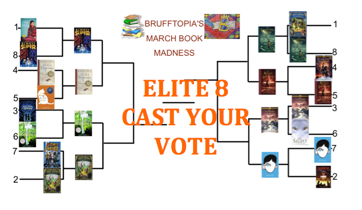 Vote to Move Your Favorite Books through the Elite 8